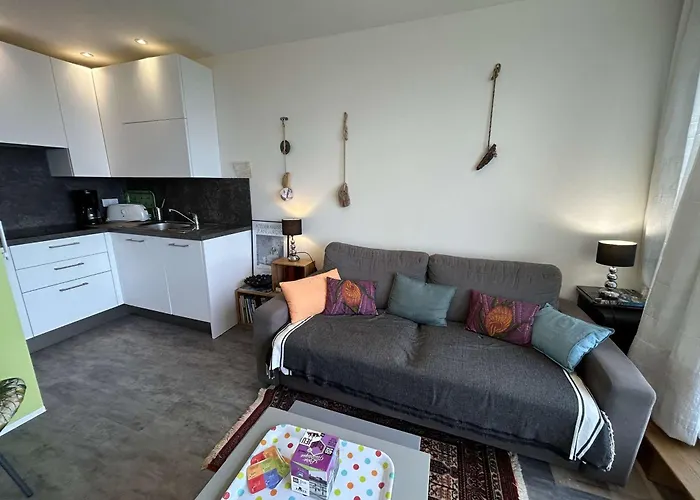 아파트 Cosy A 100m De La Avec Balcon Et Parking - - Fr-1-224c-199