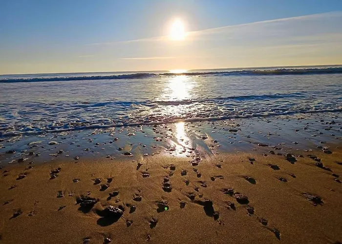 아파트 Cosy A 100m De La Avec Balcon Et Parking - - Fr-1-224c-199